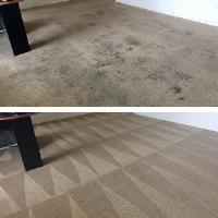 Carpet Cleaning Greensborough image 6